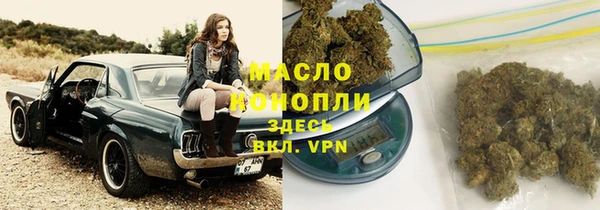 сатива Абаза